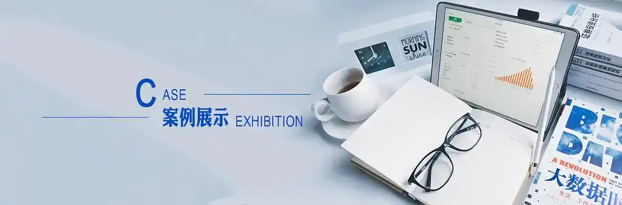 维西傈僳族自治县软件开发